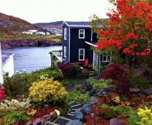 Breakwater Cottage in Petty Harbour